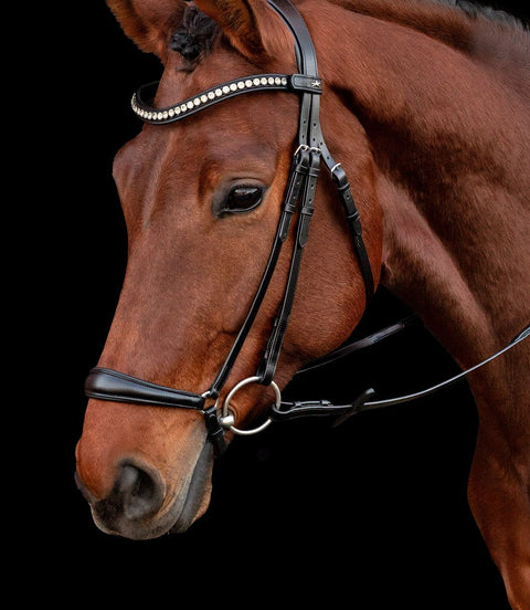 Schockemöhle Hoofdstel SP Pisa Trenshoofdstellen - Maddelin Equestrian Schockemohle