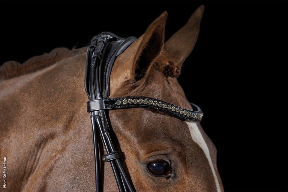 Schockemöhle Kensington Stang & Trens Stang & Trens - Maddelin Equestrian Schockemohle