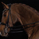 Schockemöhle Kensington Stang & Trens Stang & Trens - Maddelin Equestrian Schockemohle