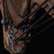 Schockemöhle Kensington Stang & Trens Stang & Trens - Maddelin Equestrian Schockemohle
