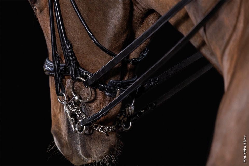 Schockemöhle Kensington Stang & Trens Stang & Trens - Maddelin Equestrian Schockemohle