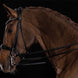Schockemöhle Kensington Stang & Trens Stang & Trens - Maddelin Equestrian Schockemohle