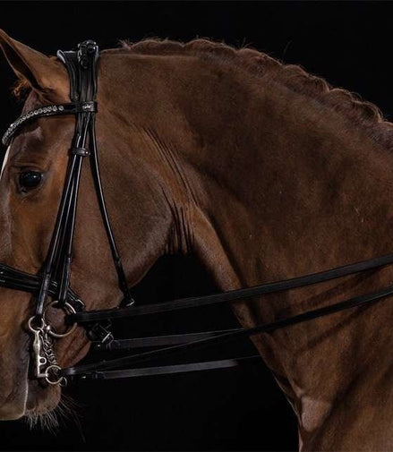 Schockemöhle Kensington Stang & Trens Stang & Trens - Maddelin Equestrian Schockemohle