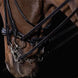 Schockemöhle Kensington Stang & Trens Stang & Trens - Maddelin Equestrian Schockemohle