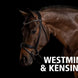 Schockemöhle Kensington Stang & Trens Stang & Trens - Maddelin Equestrian Schockemohle