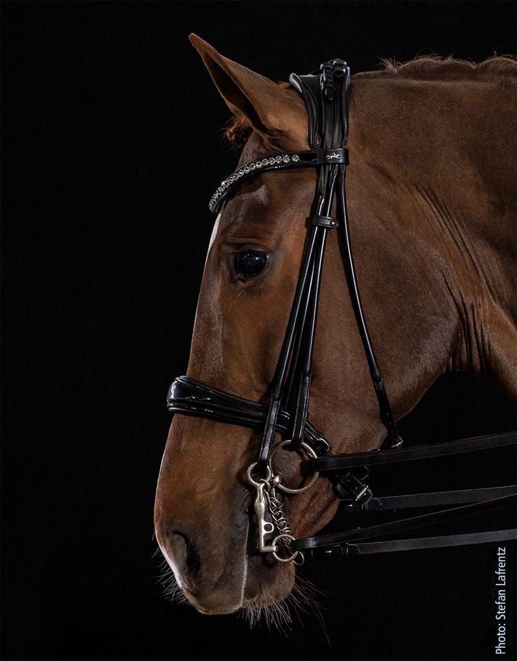 Schockemöhle Kensington Stang & Trens Stang & Trens - Maddelin Equestrian Schockemohle