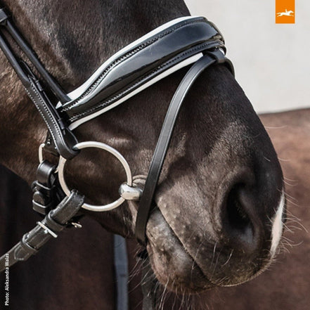Schockemöhle Malibu Anatomisch Hoofdstel Trenshoofdstellen - Maddelin Equestrian Schockemohle