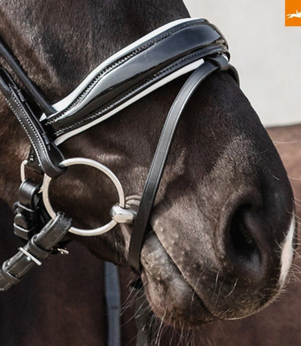 Schockemöhle Malibu Anatomisch Hoofdstel Trenshoofdstellen - Maddelin Equestrian Schockemohle