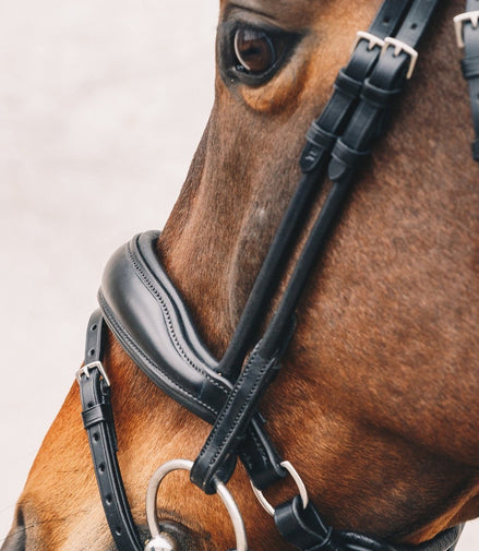 Schockemöhle Malibu Anatomisch Hoofdstel Trenshoofdstellen - Maddelin Equestrian Schockemohle