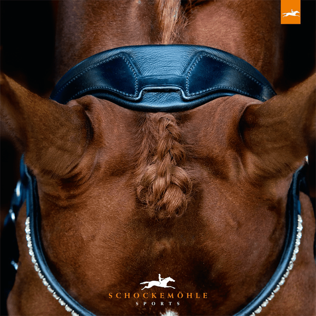 Schockemöhle Malibu Anatomisch Hoofdstel Trenshoofdstellen - Maddelin Equestrian Schockemohle