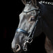 Schockemöhle Milan Anatom. Stang & Trens Stang & Trens - Maddelin Equestrian Schockemohle