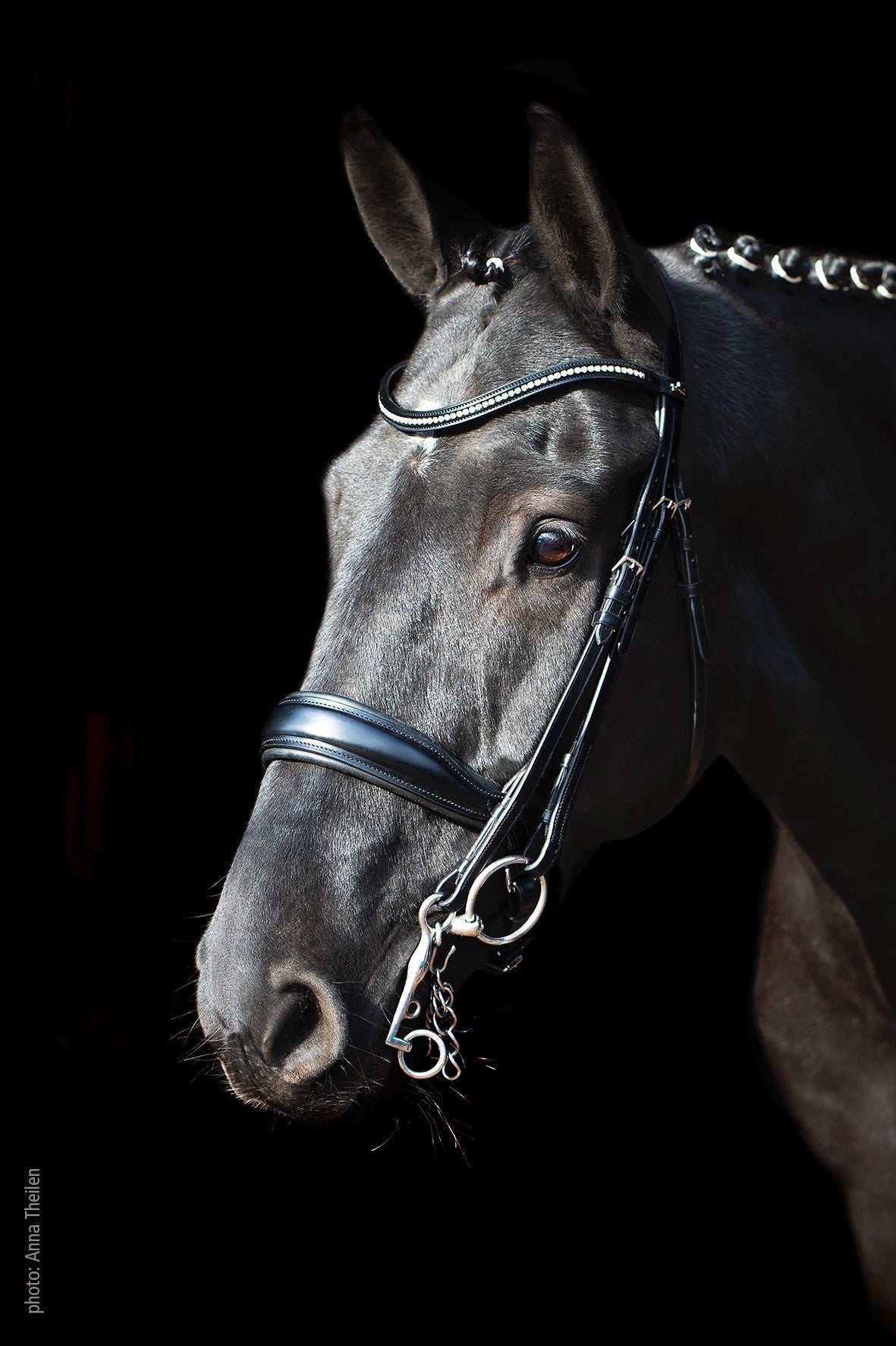 Schockemöhle Milan Anatom. Stang & Trens Stang & Trens - Maddelin Equestrian Schockemohle