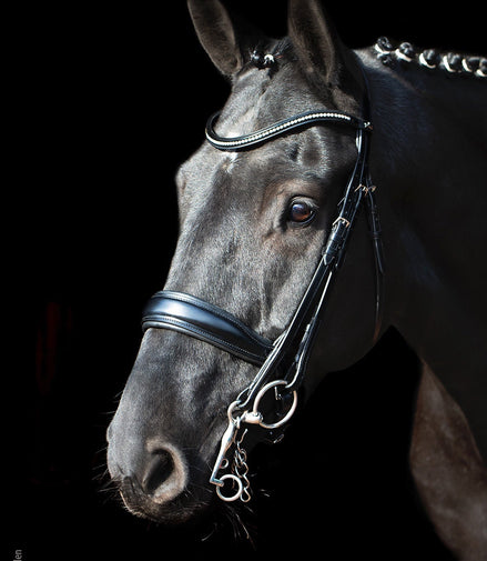 Schockemöhle Milan Anatom. Stang & Trens Stang & Trens - Maddelin Equestrian Schockemohle