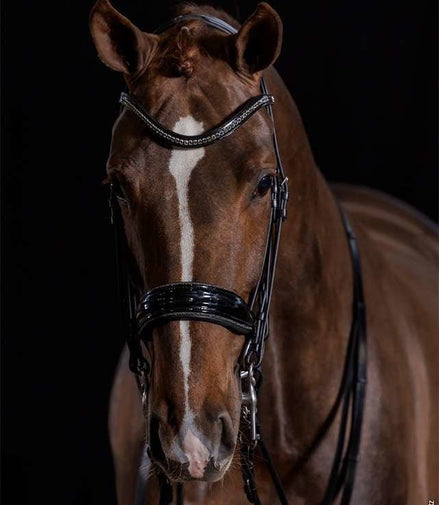 Schockemöhle Milan Glam Stang & Trens - Maddelin Equestrian Schockemohle