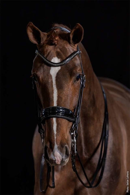 Schockemöhle Milan Glam Stang & Trens - Maddelin Equestrian Schockemohle