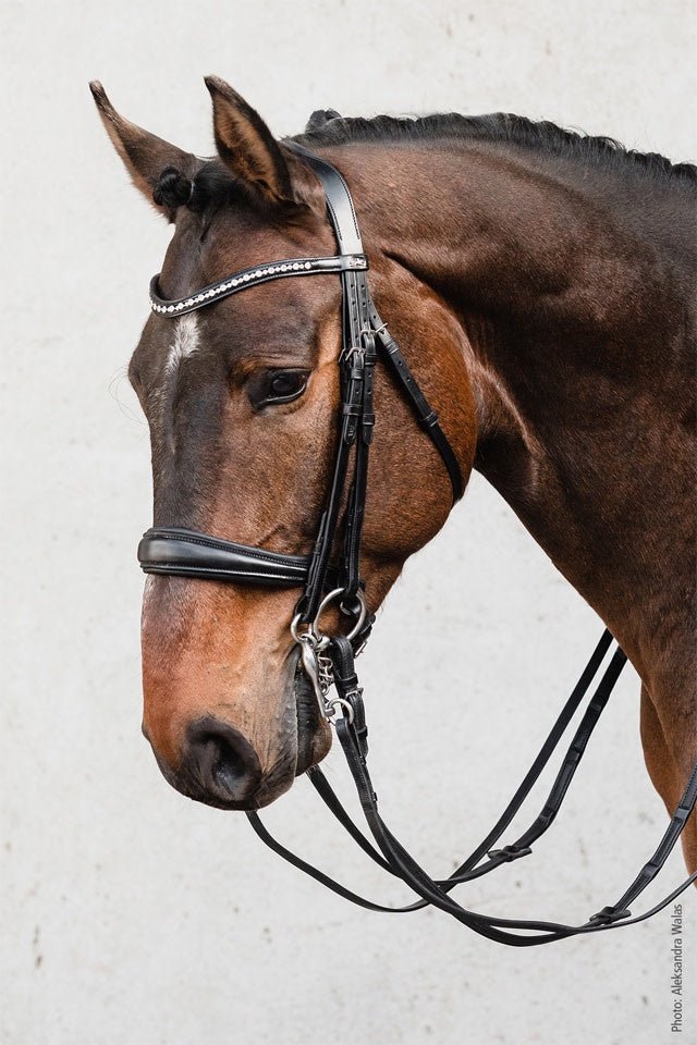 Schockemöhle Milton Stang & Trens Stang & Trens - Maddelin Equestrian Schockemohle