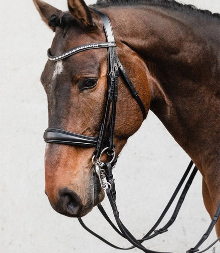 Schockemöhle Milton Stang & Trens Stang & Trens - Maddelin Equestrian Schockemohle