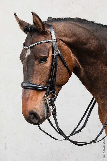 Schockemöhle Milton Stang & Trens Stang & Trens - Maddelin Equestrian Schockemohle