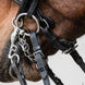 Schockemöhle Milton Stang & Trens Stang & Trens - Maddelin Equestrian Schockemohle