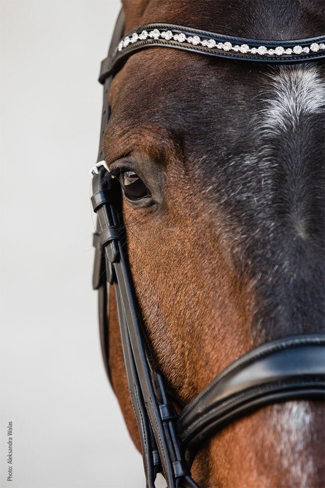 Schockemöhle Milton Stang & Trens Stang & Trens - Maddelin Equestrian Schockemohle