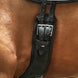 Schockemöhle Pittsburgh Stretch Singel Singels - Maddelin Equestrian Schockemohle