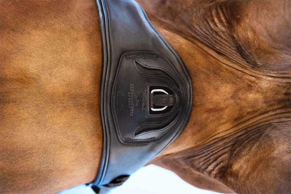Schockemöhle Pittsburgh Stretch Singel Singels - Maddelin Equestrian Schockemohle