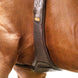 Schockemöhle Portland Anatomische Singel Singels - Maddelin Equestrian Schockemohle