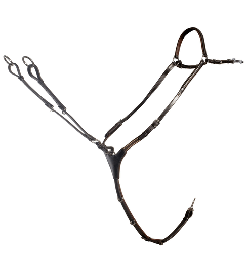 Schockemöhle San Francisco - Fittings: Chrome plated Borstriemen en martingalen - Maddelin Equestrian Schockemohle