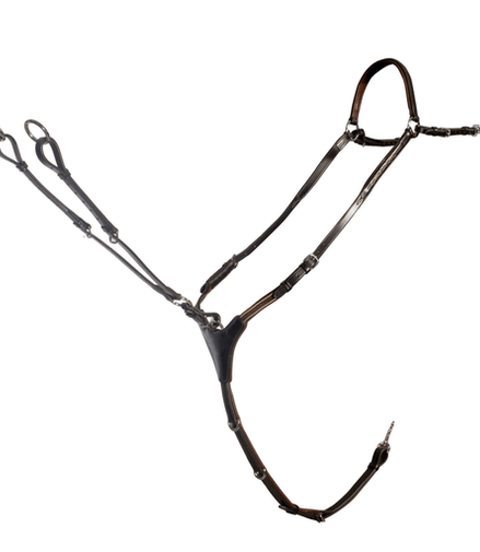 Schockemöhle San Francisco - Fittings: Chrome plated Borstriemen en martingalen - Maddelin Equestrian Schockemohle