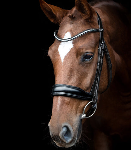 Schockemöhle Slimford Anatomical Hoofdstel Trenshoofdstellen - Maddelin Equestrian Schockemohle