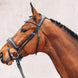 Schockemöhle Stanford  Anatomical Hoofdstel Trenshoofdstellen - Maddelin Equestrian Schockemohle