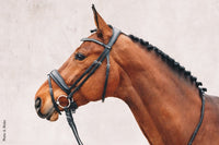 Schockemöhle Stanford  Anatomical Hoofdstel Trenshoofdstellen - Maddelin Equestrian Schockemohle