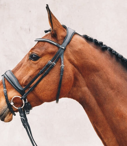 Schockemöhle Stanford  Anatomical Hoofdstel Trenshoofdstellen - Maddelin Equestrian Schockemohle