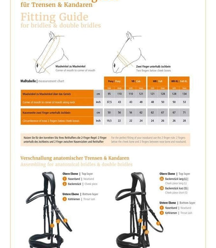Schockemöhle Stanford  Anatomical Hoofdstel Trenshoofdstellen - Maddelin Equestrian Schockemohle