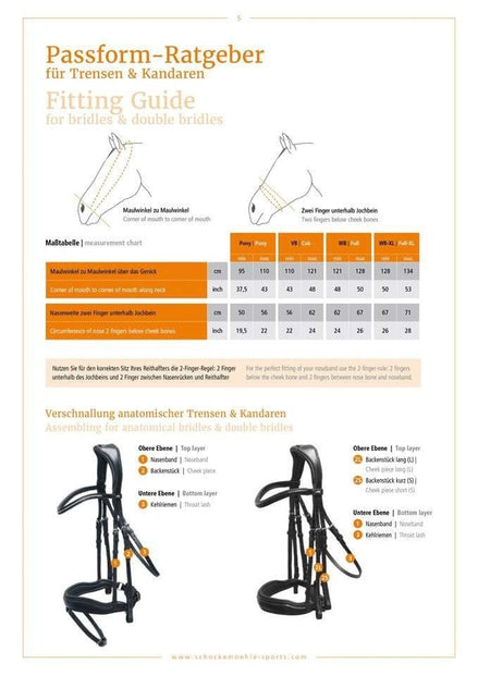 Schockemöhle Stanford  Anatomical Hoofdstel Trenshoofdstellen - Maddelin Equestrian Schockemohle