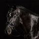 Schockemöhle Stanford Glam Trenshoofdstellen - Maddelin Equestrian Schockemohle