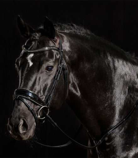 Schockemöhle Stanford Glam Trenshoofdstellen - Maddelin Equestrian Schockemohle