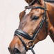 Schockemöhle Stanford S Trenshoofdstellen - Maddelin Equestrian Schockemohle