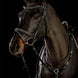 Schockemöhle Tokyo F Select Trenshoofdstellen - Maddelin Equestrian Schockemohle