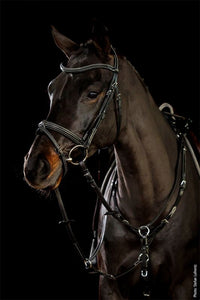 Schockemöhle Tokyo F Select Trenshoofdstellen - Maddelin Equestrian Schockemohle