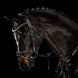 Schockemöhle Tokyo F Select Trenshoofdstellen - Maddelin Equestrian Schockemohle