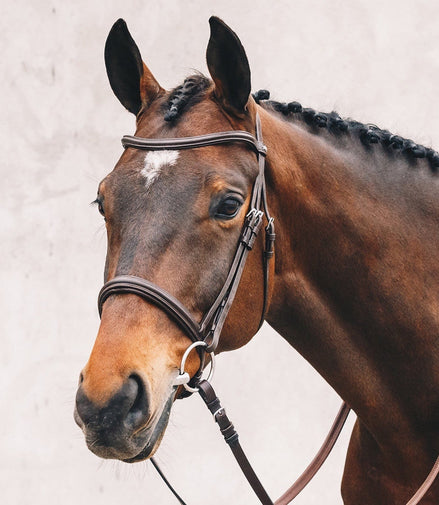 Schockemöhle Tokyo Select Anatomical Hoofdstel Trenshoofdstellen - Maddelin Equestrian Schockemohle