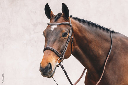 Schockemöhle Tokyo Select Anatomical Hoofdstel Trenshoofdstellen - Maddelin Equestrian Schockemohle