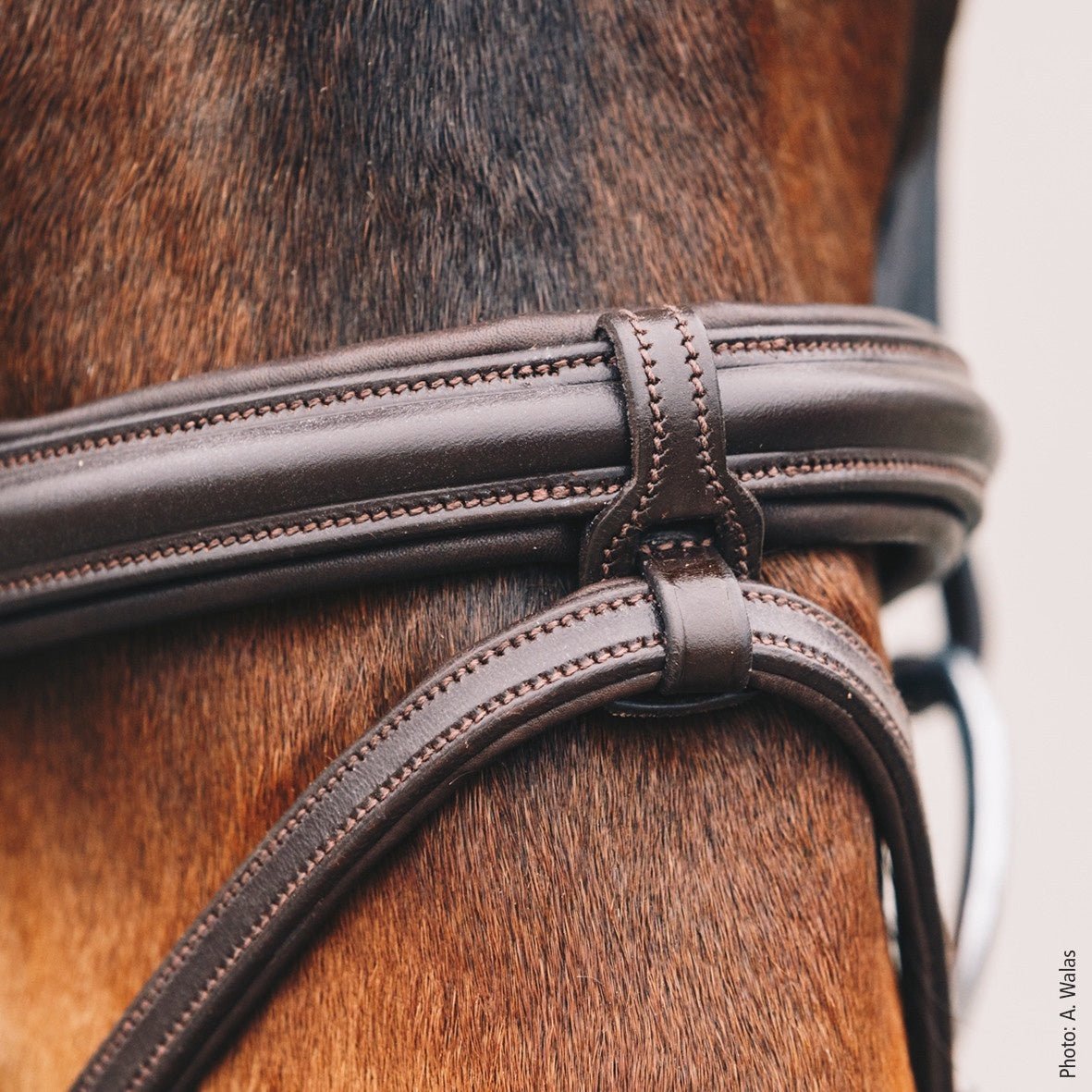 Schockemöhle Tokyo Select Anatomical Hoofdstel Trenshoofdstellen - Maddelin Equestrian Schockemohle