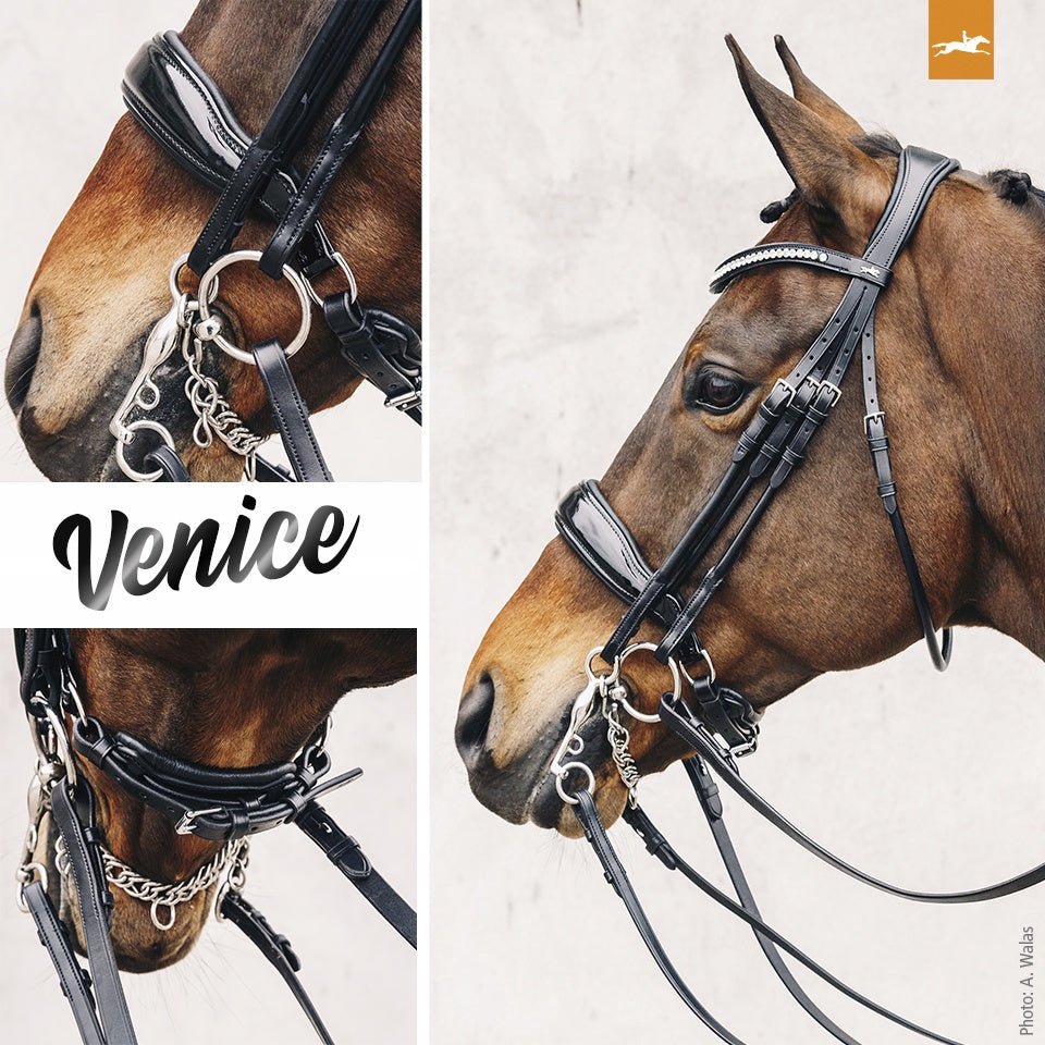 Schockemöhle Venice Anatom. Stang & Trens Trenshoofdstellen - Maddelin Equestrian Schockemohle