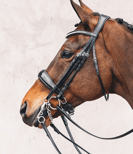 Schockemöhle Venice Anatom. Stang & Trens Trenshoofdstellen - Maddelin Equestrian Schockemohle