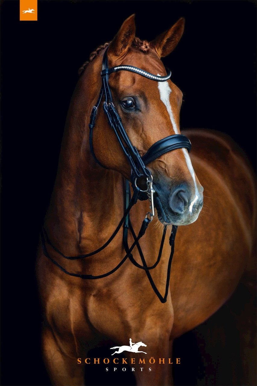 Schockemöhle Venice Anatom. Stang & Trens Trenshoofdstellen - Maddelin Equestrian Schockemohle