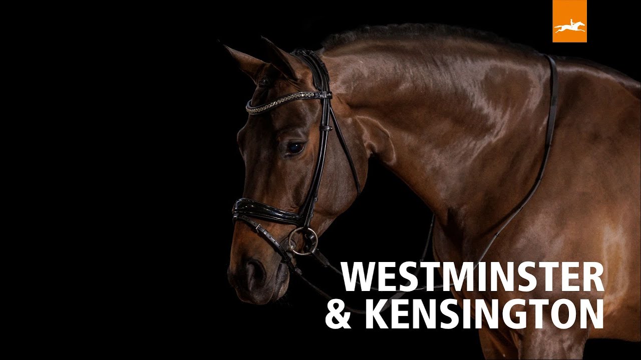 Schockemöhle Westminster Trenshoofdstellen - Maddelin Equestrian Schockemohle