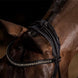 Schockemöhle Westminster Trenshoofdstellen - Maddelin Equestrian Schockemohle
