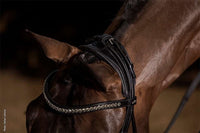 Schockemöhle Westminster Trenshoofdstellen - Maddelin Equestrian Schockemohle